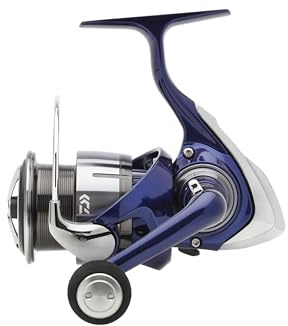 DAIWA 24 TDR Match und Feeder QD 2508QD, Angelrolle, Frontbremse, 10516-258