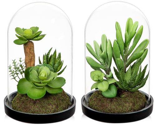 Arborus 2 piante grasse artificiali in una bottiglia di vetro piante verdi per la decorazione della casa