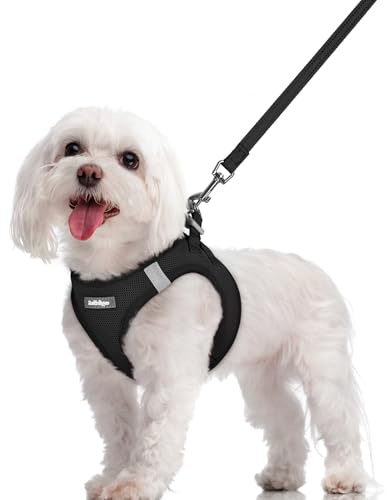 rabbitgoo Hundegeschirr Kleine Hunde mit Leine Step-in, Schwarz, M | Einfach anzulegen, Atmungsaktiv, Weiches Mesh & Reflektierend, Sicherheitsverschluss mit 1,5m Leine für Kleine Mittlere Hunde