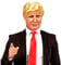 W WIDMANN MILANO Party Fashion 02091 - Perücke Mr. Präsident, blond, Kunsthaar, Kurzhaarperücke Herren, Amerika, USA