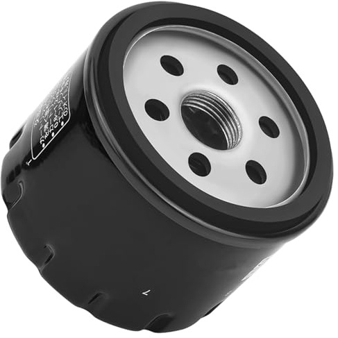 Road Passion Filtro dell'olio 184 - per APRILIA SCARABEO 500 IE 460 2007-2011 SCARABEO GT ABS 500 2002 2003 2004 2005 2006 SCARABEO LIGHT 400 2006 2007 2008 2009