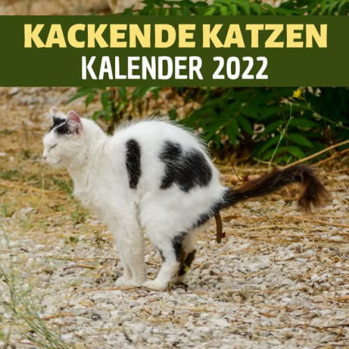 Kackende Katzen Kalender: 12 Monate | Lustige geschenke für männer , Frauen, Freunde , Kollegen , Familienmitglied , Tierliebhaber , Kinder , Büro , Geburtstag | Katzenliebhaber Geschenkidee