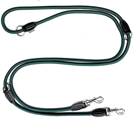 Leisegrün Verstellbare Hundeleine 3m - Robuste Nylon Doppelleine für mittelgroße bis große Hunde, 200kg Zugkraft, 2 Karabiner - Grün