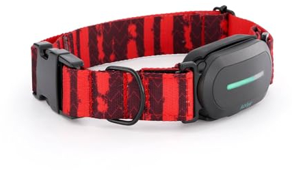 Kolyy Series 2 - Collar GPS para Perros Hecho en España - Localizador GPS Perros con control vía App - Localización en Tiempo Real y sin Límite de distancia –Control Actividad, Reposo, Paseos y Rutas