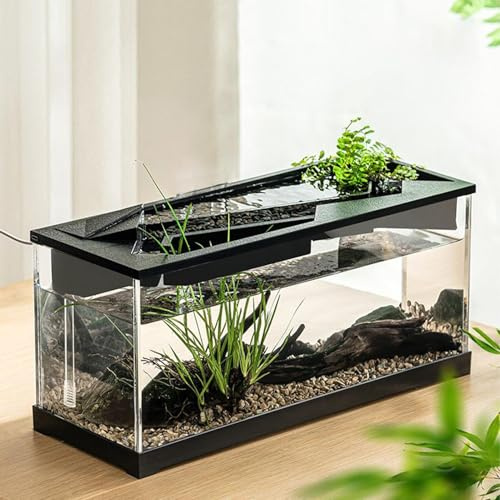 Kleines Aquarium, Acryl, transparentes Schreibtisch-Aquarium mit Filter und Luftpumpe, rechteckiges Aquarium, leises Starter-Set für Tischplatte, Wohnzimmer, Studio, Zuhause
