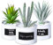 Odezza Lot de 3 plantes artificielles dans un pot,10x16 cm,Blanc,Plantes succulentes artificielles,Petites plantes artificielles,Pour la décoration du salon, du balcon,Mini plantes artificielles