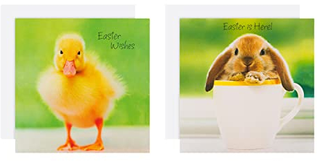 Hallmark Osterkarten für Wohltätigkeitsorganisationen, 10 Karten in 2 niedlichen Tierfoto-Designs