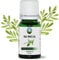 NPOW Pure Tea Tree Oil for Nail Fungus - 100% Pure Essential Oils for Skincare, Aromatherapy, Therapeutic Tea Tree Essential Oils for Acne, Oil for Facecare, Purify The Hair Scalp - 10ml