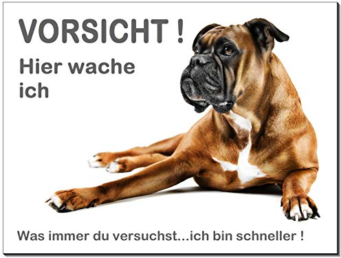 Desi-Schilder Boxer-Schild-Hund-Aluminium-Schild-3 Größen-Türschild-Warnschild-Hinweisschild-Hundeschild-35 (1450-17 - 200 x 150 x 2 mm mit Löcher)