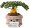 TOYMIS Albero di Cocco Positivo, Pianta Tropicale All'Uncinetto Supporto Emotivo Pianta Positiva per Regalo Motivazionale Estate Casa Ufficio Decorazione Regalo per il Ritorno a Scuola