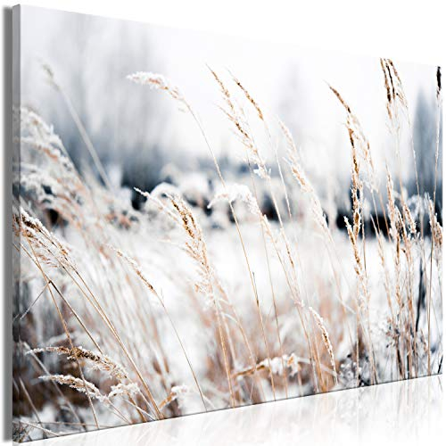 murando - Wandbilder XXL Natur 120x80 cm Leinwandbild 1 tlg Kunstdruck modern Wanbilder XXL Wanddekoration Design Wand Bild - Winter Pflanzen Wiese Schnee b-B-0507-b-a