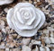 Stein Rose Rosenblüte Blüte Blumen Steinguss frostfest wetterfest Garten Deko 10cm