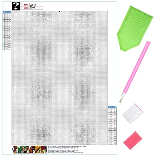 LOMSIOY DIY Flower Mystery Diamond Painting Set Blume 5D Diamant Painting Mysteriös Random Surprise Square Full Drill Strass Stickerei Kreuzstich Diamant Malerei Kristall Home Wall Décor