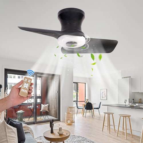 Luyaim 60CM LED Ventilateur De Plafond Silencieux Avec Lumiere Et Telecommande Dimmable 6 Vitesses Moteur Dc Lustre Plafonnier Pour Chambre Salon Moderne Plafonnier Ventilateur Design-E-60CM