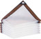 Telone impermeabile in PVC trasparente con occhielli, 2,5 x 4 m, resistente ai raggi UV e antistrappo, per giardino, balcone, cantiere e recinzioni per animali domestici, resistente alle intemperie