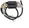 Zündmodulspule, Rasenmäher-Motor-Zündspule, verwendet für Honda G150 für G200 G300 G400 30500-887-303 30560-883-015