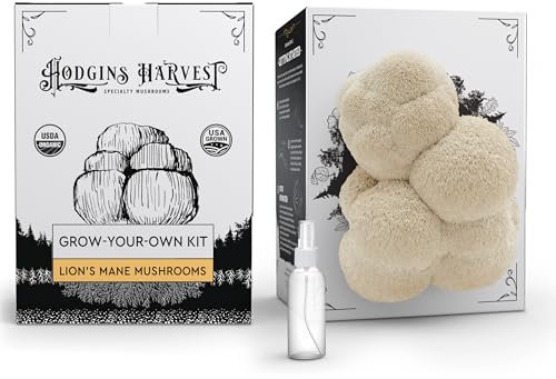 Hodgins Harvest Löwenmähne Pilz Grow Kit (1,8 kg) | USDA-zertifiziert Bio | Züchten Sie Ihre eigenen leckeren Gourmet-Pilze zu Hause