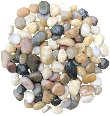 450 g de galets de rivière polis - Pierres de décoration de jardin pour l'artisanat, galets de plage naturels pour plantes, vases, pots de fleurs, aquarium, aménagement paysager, plantes succulentes