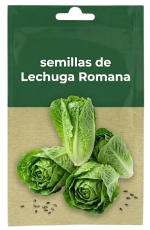 Semillas de Lechuga Romana para Jardinería Doméstica DECOALIVE | Hojas Crujientes