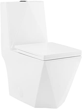 Brusque One-Piece Square Toilet Dual-Flush 1.1/1.6 gpf