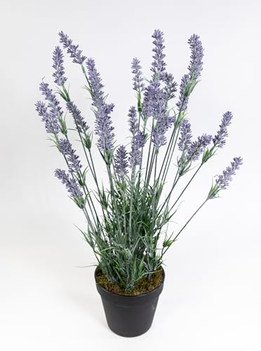 Künstlicher Lavendelbusch/Lavendel 54cm im Topf FI Kunstpflanzen Kunstblumen Blumen Pflanzen