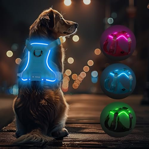 Light Up Dog Hundegeschirr Leuchtend LED Aufladbar - Leuchtgeschirr Leuchtend für Klein Mittelgroße Grosse Hund, Reflektierende Brustgeschirr Beleuchtetes Hundegeschirr, 4-Punkt Verstellbar,Blau,S