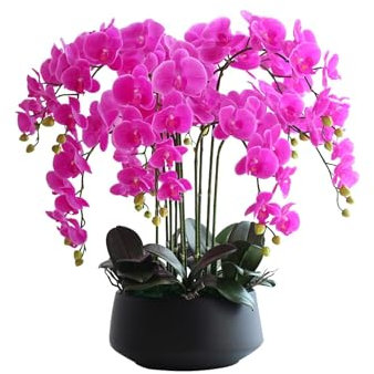 CAFIEDR Grandes orchidées artificielles en Pot - Fleurs artificielles au Toucher réaliste, Fleurs de Phalaenopsis simulées avec Pot 10 Branches Violet