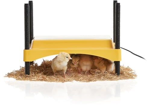 Brinsea Ecoglow Safety 600 Brutautomat