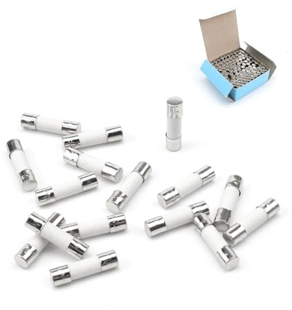 100 Piezas Fusibles, AMONENZ Fusible Microondas, 5 x 20 mm Fusibles Cerámicos, Acción Rápida, para Protección Seguridad Circuitos y Equipos Eléctricos