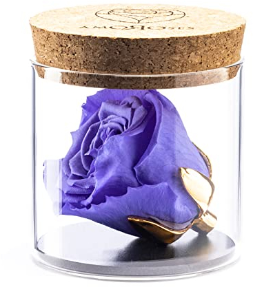 Amoroses Bijou - Rosa Stabilizzata Eterna con calice placcato oro 24K in barattolo di vetro | Idea Regalo (Rosa Violetto)