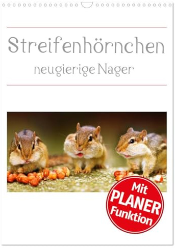 Streifenhörnchen - neugierige Nager (Wandkalender 2026 DIN A3 hoch), CALVENDO Monatskalender: Die Jäger und Sammler unter den Nagetieren (CALVENDO Tiere)