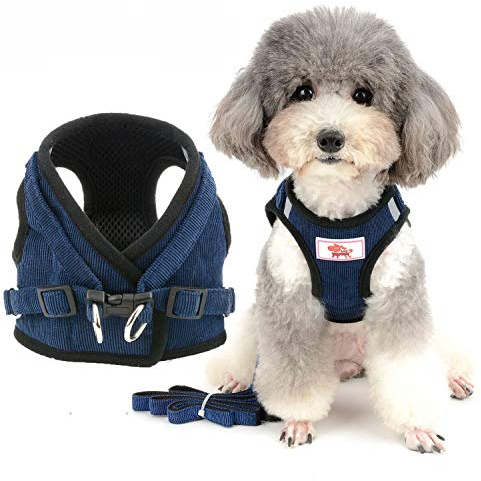 Zunea Hundegeschirr mit Leine Kleine Hunde Welpen Verstellbar Reflektierend No Pull Weiches Netzgewebe Cord-Weste Brustgeschirr für Jungen/Mädchen Haustiere, Puppia, Chihuahua, Katzen Blau S