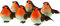 Set Of 6 Christmas Craft Foam Robin Birds Decorations