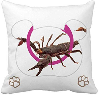 OFFbb-USA Scorpion Kissenbezug mit natürlichem Insektenschutz, quadratisch