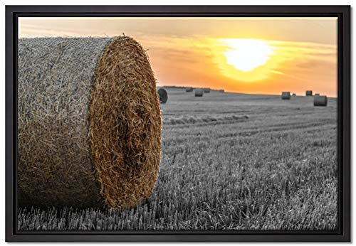 Pixxprint Strohballen auf Feld Leinwandbild 60x40 cm im Bilderahmen, Wandbild, Schattenfugenrahmen, Kein Poster