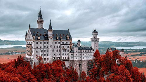 SHILIHOME Schloss Neuschwanstein Deutschland Gemälde Nach Zahlen DIY Unique