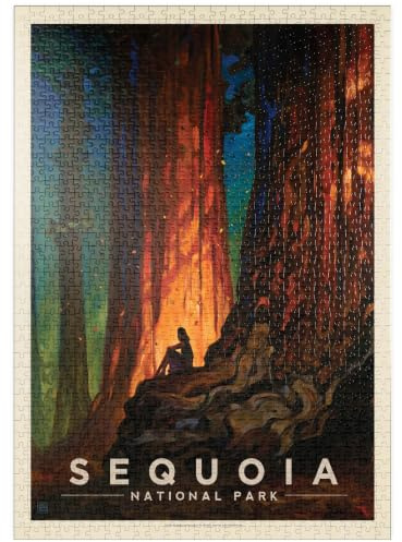 MyPuzzle Sequoia National Park: Nature's Cathedral - Premium 1000 Teile Puzzle - MyPuzzle Sonderkollektion von Anderson Design Group