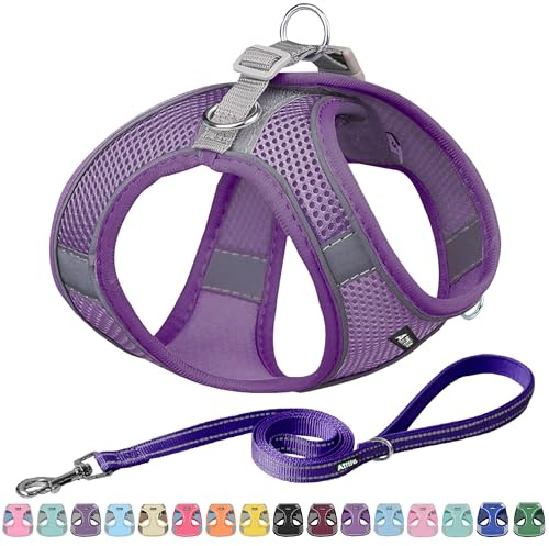 AIITLE Hundegeschirr, No-Pull Katzengeschirr mit Leine, Reines Lila XXXS | einstellbare reflektierende Hundeweste, Welpengeschirr fluchtsicher, Spaziergang im Freien für kleine Hunde und Hauskatzen