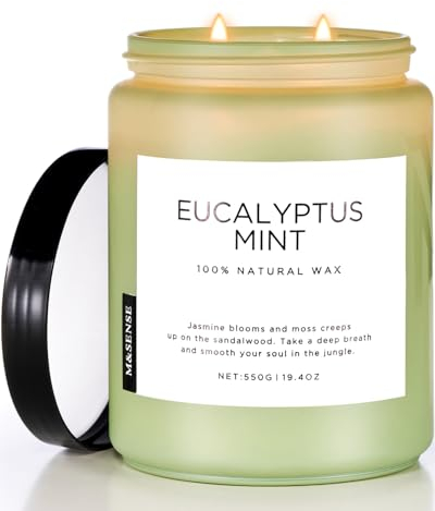 M&SENSE Duftkerze Eukalyptus Minze,550g 90 Stunden lang brennend, große Kerzen mit 2 Docht, dekorative Kerzen im Glas, natürliches Sojawachs, Aromatherapie Kerze zur Entspannung für Spa, Bad, Yoga