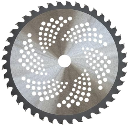FAST WORLD SHOPPING Disque pour débroussailleuse, tondeuse à gazon, diamètre 255 mm, 40 dents Widia, trou diamètre 25,4 mm, coupe et scie circulaire de jardinage 10 pouces