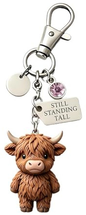GEVECORI Porte-clés vache des Highlands « A Little Highland » pour vous, avec pierre de naissance et carte de sentiment, cadeau pour la famille et les amis
