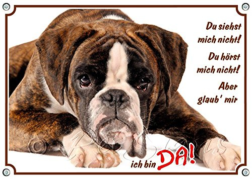 Petsigns Hundeschild - Deutscher Boxer - TOP Metallschild uv-beständig - bis DIN A3, DIN A5