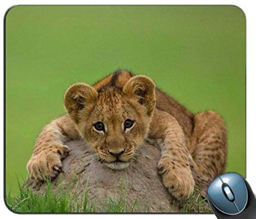Gaming Mouse Mat, Lion Cub Stein liegend 92062 personalisierte Rechteck Mauspad, gedruckt rutschfeste Gummi komfortable angepasste Computer-Mauspad