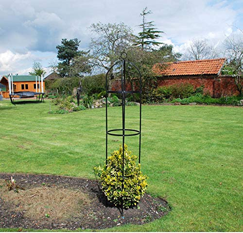 KINGFISHER- Garden Obelisk Arch Climbing Plants Shrubs Trees.Set of 2