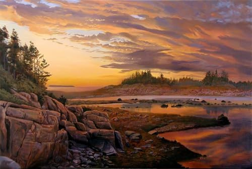 Paysage de galets de plage Peinture par Numéro pour Adulte,avec Cadre Kit de Peinture à l'huile sur Toile Bricolage pour Débutants,avec Pinceaux et Pigment Acrylique pour Maison Décoration 50x65cm
