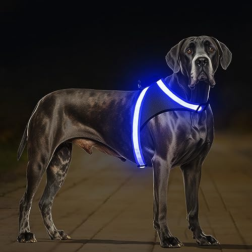 ChalkLit LED Leuchtendes Hundegeschirr USB Wiederaufladbares Vollständig Beleuchtetes Hundegeschirr Leuchtet Im Dunkeln für Nachtspaziergänge Sicherheitsweste, mittelgroße große Hunde (Blau, L)