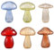 Fonzci 6 Stück Transparente Pilz-Blumenvasen, Pilz-Glasknospenvasen, Hydrokultur-Pflanzenvasen, Transparente Pilz-Glasvasen, Pflanzgefäße, Transparente Hydrokultur-Vasen für Zuhause, (#1)
