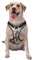 Siulas Stilvolles und bequemes Oxford-Gewebe, Wildtier-Pferde-Muster, für kleine, mittelgroße und große Hunde, ideal zum Spazierengehen