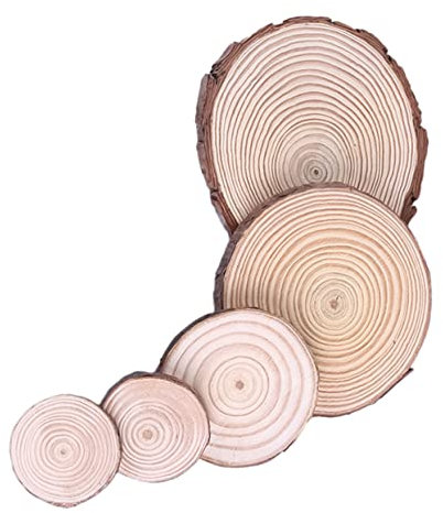 Operitacx 5 Stück Natürliche Holzscheiben Runde Holzscheiben Glatte Unbehandelte Dekorative Holzkreise für Heimdekoration Foto-requisiten