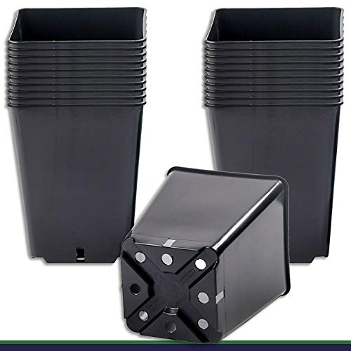 Wohnkult 100 x Anzuchttopf Pflanztopf 3,5 L schwarz 16 x 16 cm x 20 cm Blumentopf Blumenkübel Pflanztöpfe